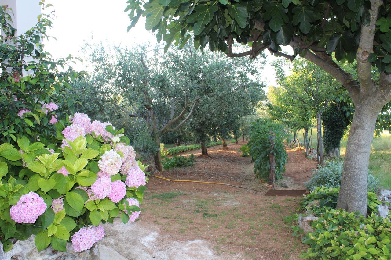 Haus Glavani Barban Dış mekan fotoğraf
