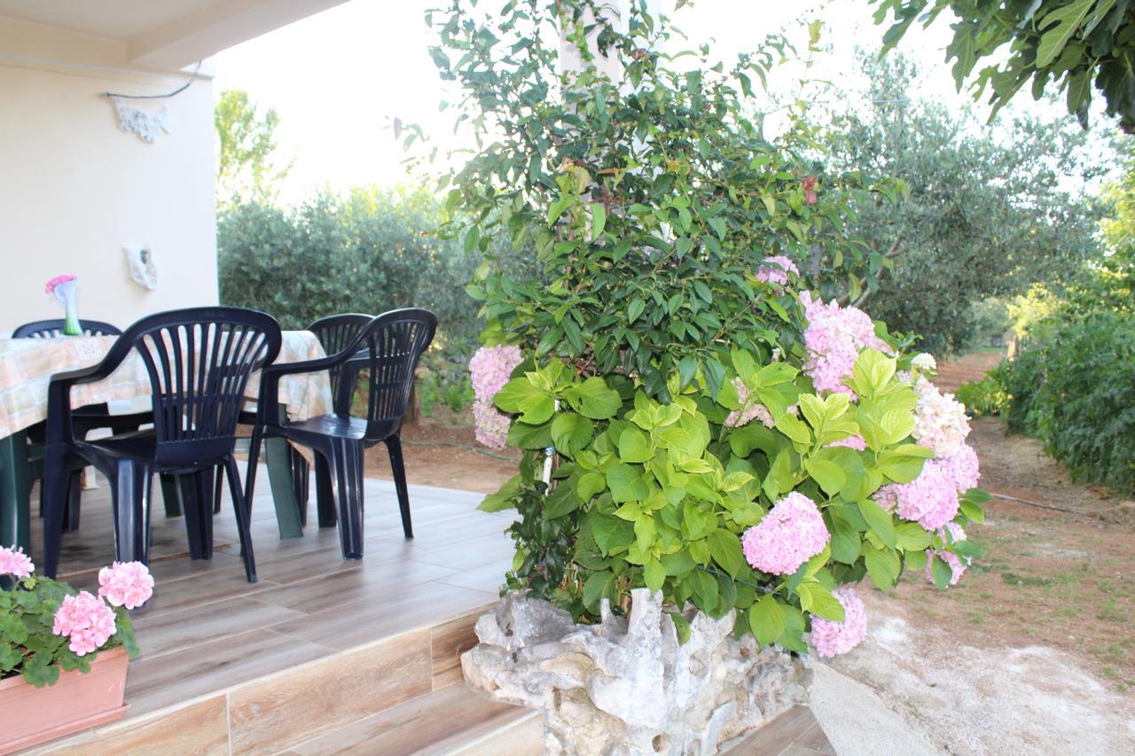 Haus Glavani Barban Dış mekan fotoğraf