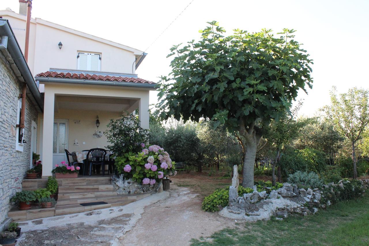 Haus Glavani Barban Dış mekan fotoğraf